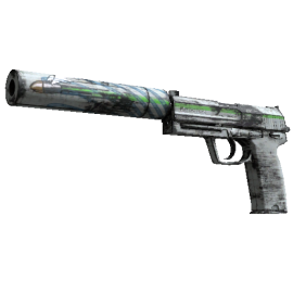 USP-S | Road Rash  (Field-Tested)