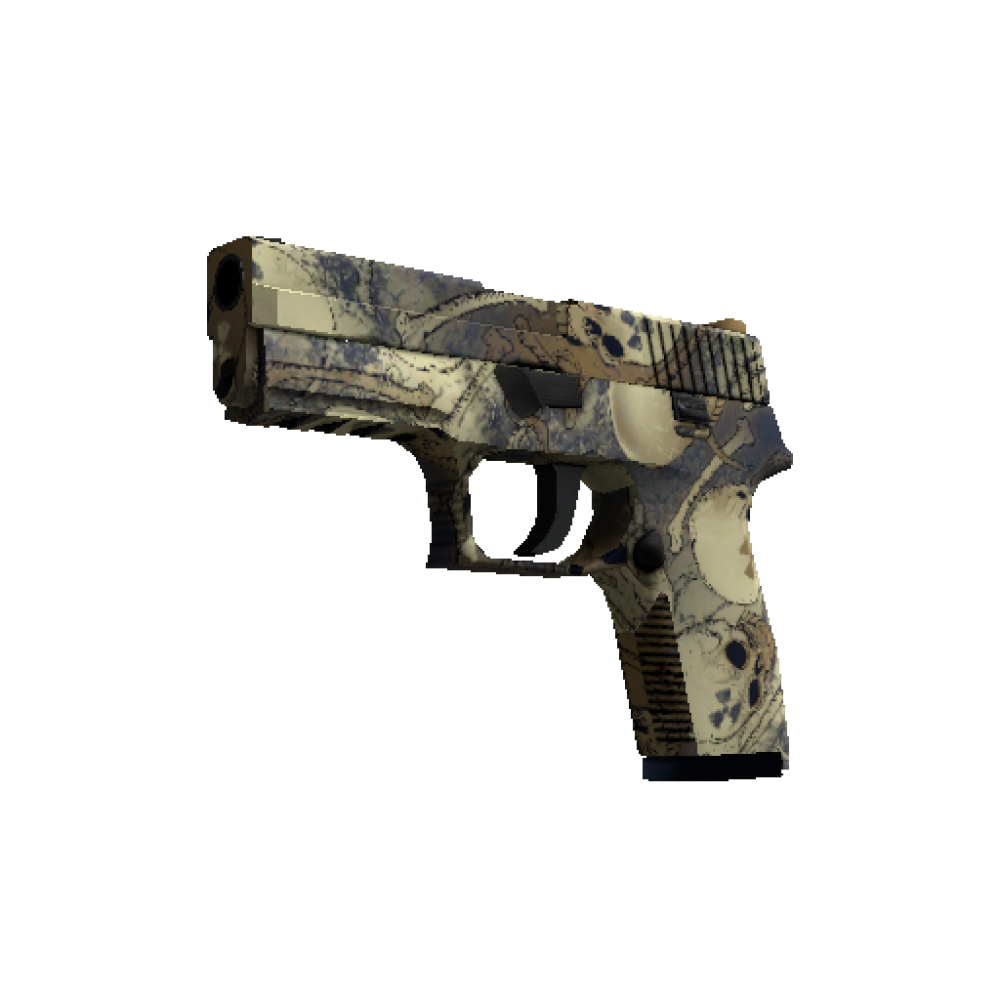 P250 | Contamination  (Minimal Wear)