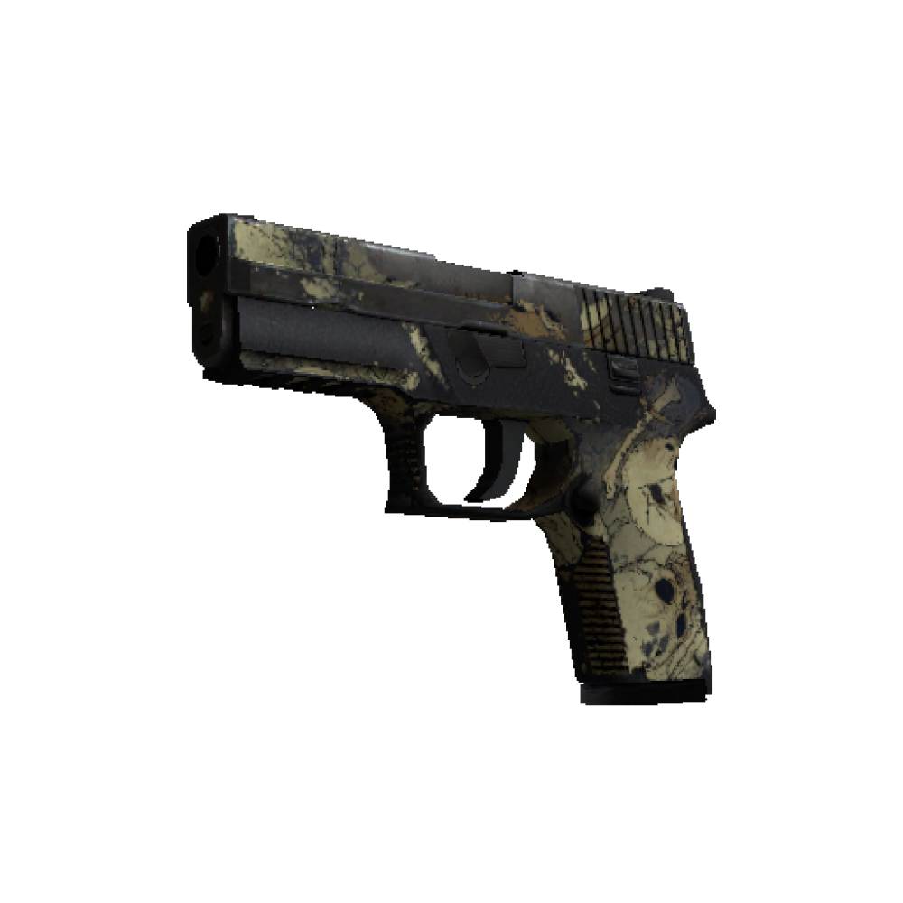 P250 | Contamination  (Battle-Scarred)