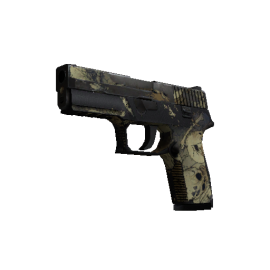 P250 | Contamination  (Battle-Scarred)