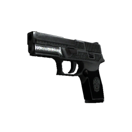 P250 | Cartel  (Battle-Scarred)