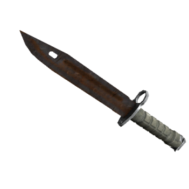 Bayonet | Rust Coat  (Battle-Scarred)