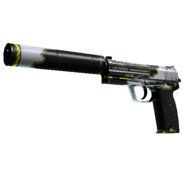 StatTrak™ USP-S | Torque  (Well-Worn)