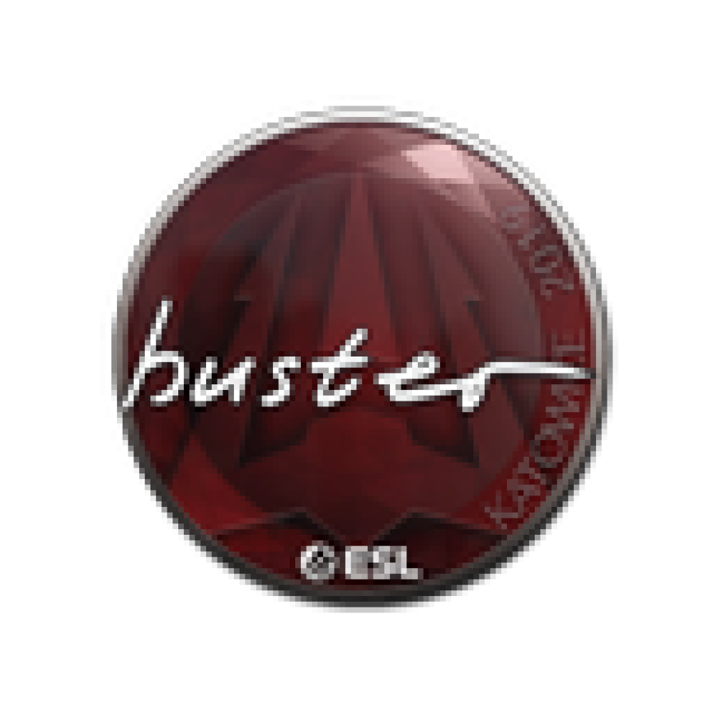 Sticker | buster | Katowice 2019