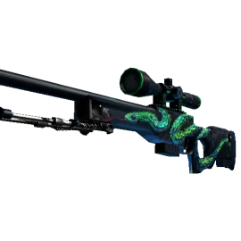 AWP | Atheris  (Well-Worn)