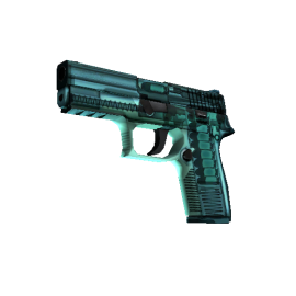 StatTrak™ P250 | X-Ray  (Minimal Wear)