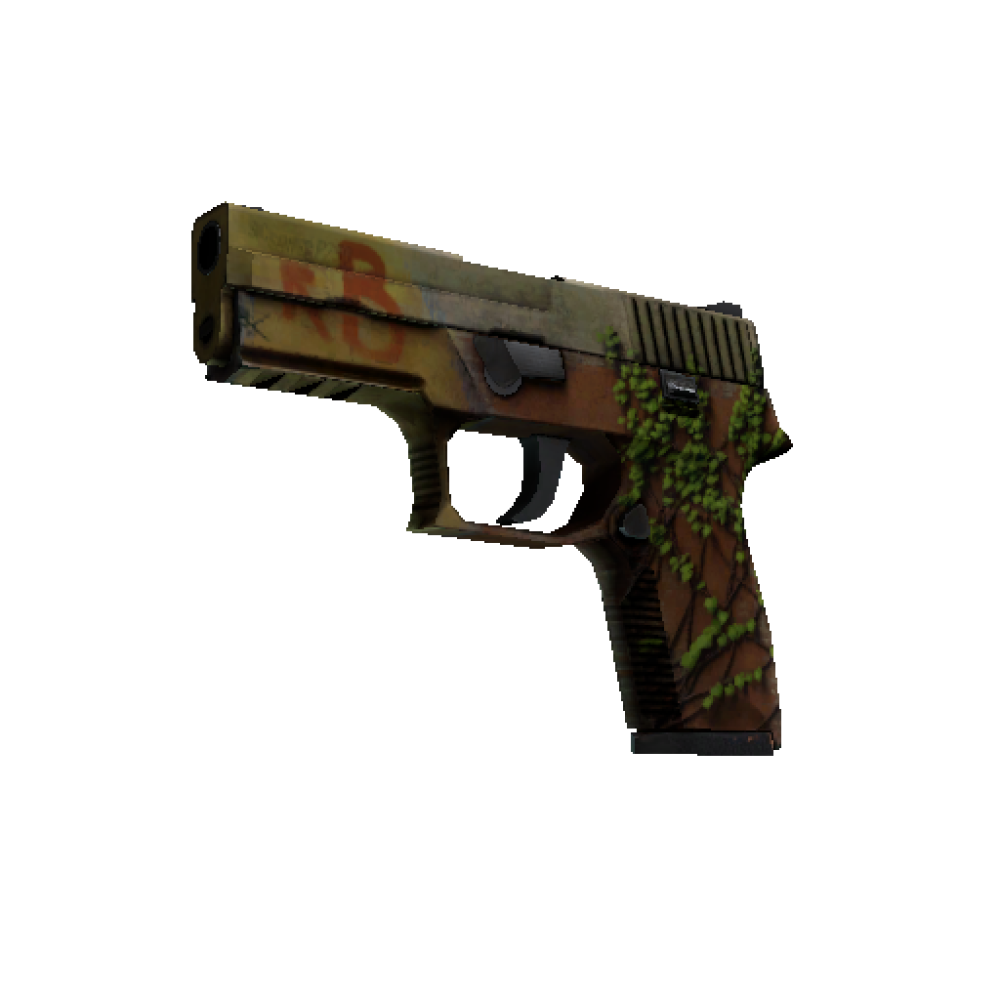 StatTrak™ P250 | Inferno  (Battle-Scarred)