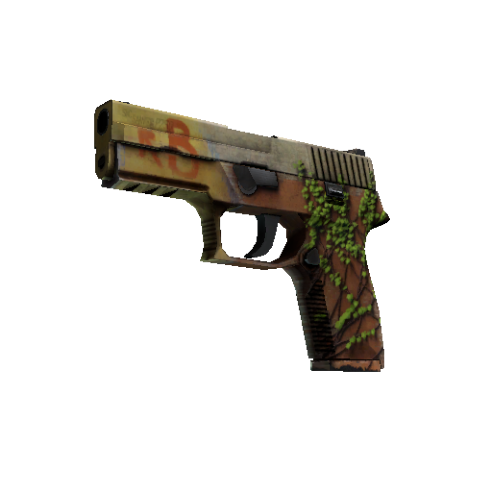 StatTrak™ P250 | Inferno  (Well-Worn)