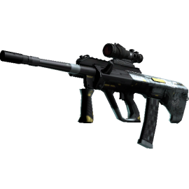 StatTrak™ AUG | Tom Cat  (Minimal Wear)