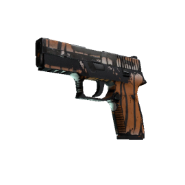 P250 | Bengal Tiger  (Battle-Scarred)