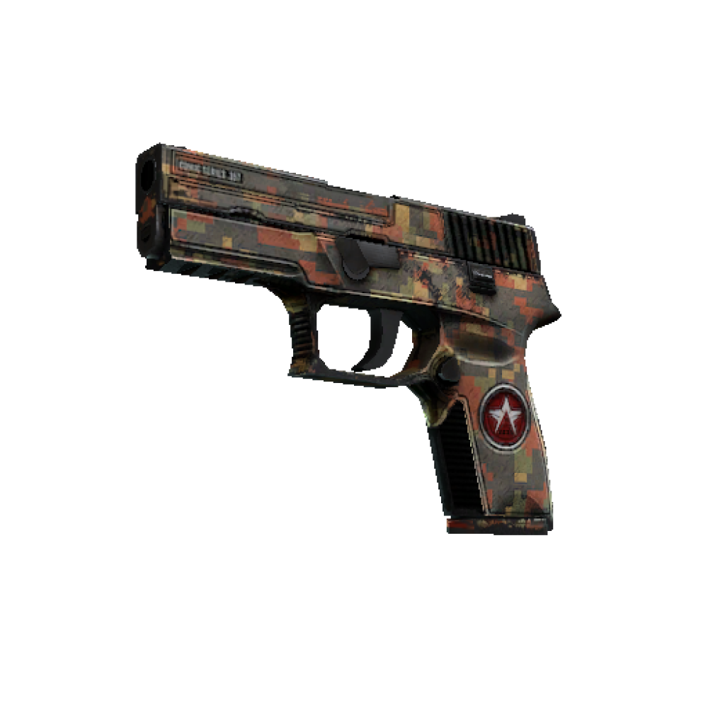 P250 | Red Rock  (Battle-Scarred)