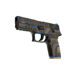 P250 | Exchanger  (Minimal Wear)