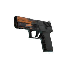 StatTrak™ P250 | Splash  (Field-Tested)