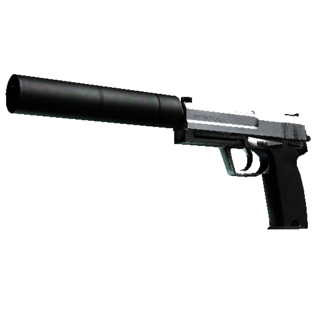 StatTrak™ USP-S | Stainless  (Well-Worn)